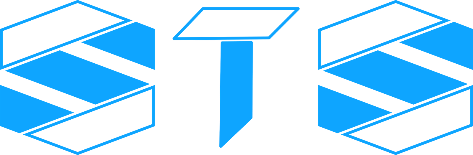 STS_LOGO_3